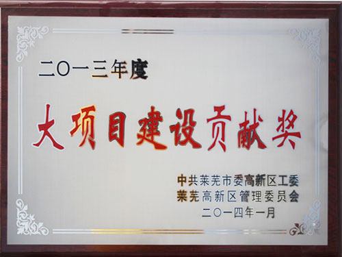 大項(xiàng)目建設(shè)貢獻(xiàn)獎(jiǎng)